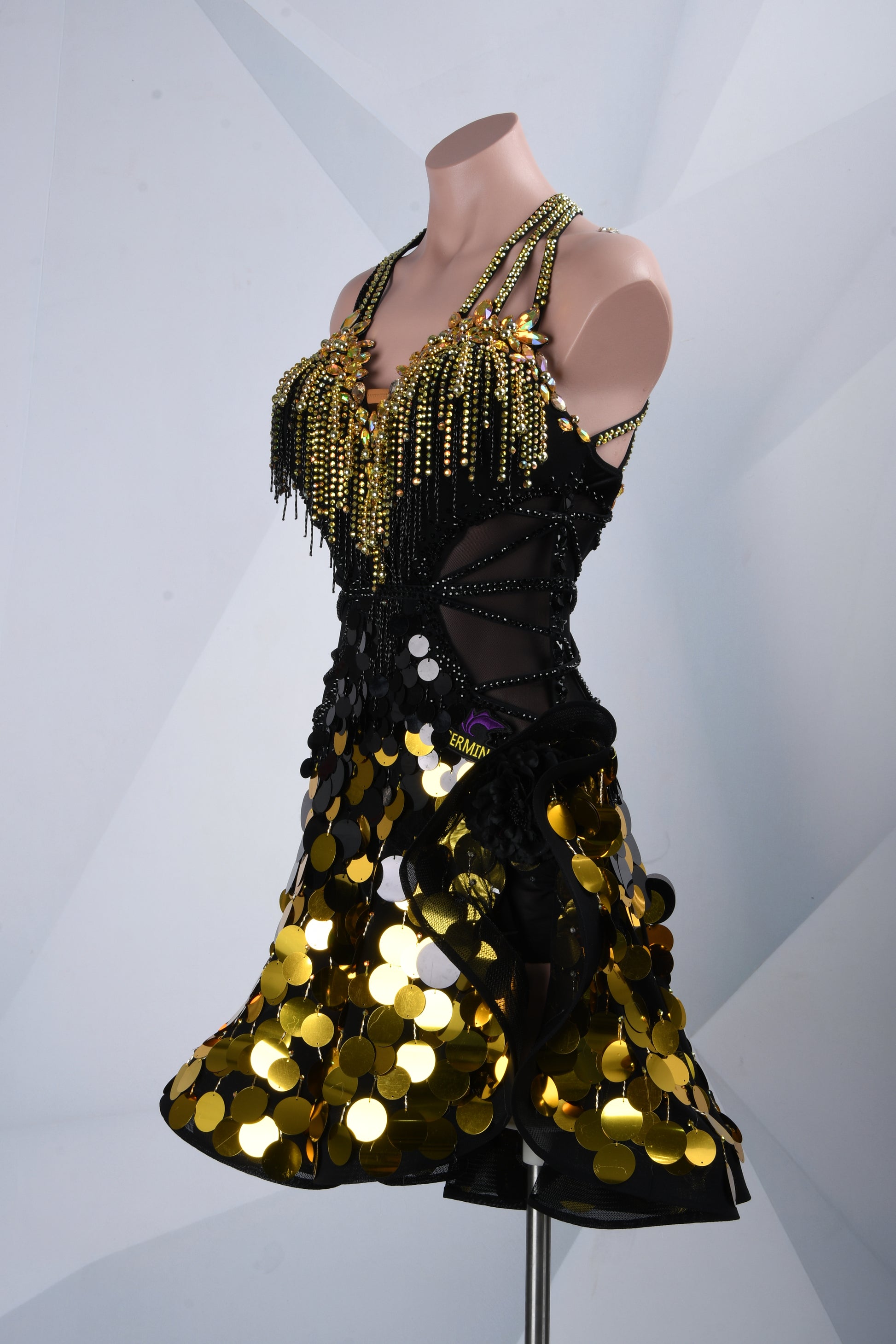 Ladies Latin Dress
