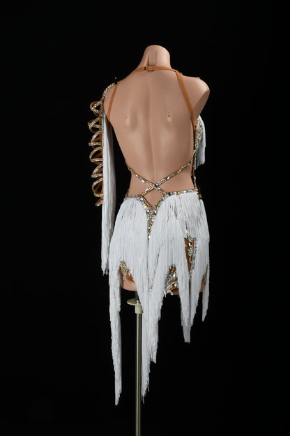 Ladies Latin Dress