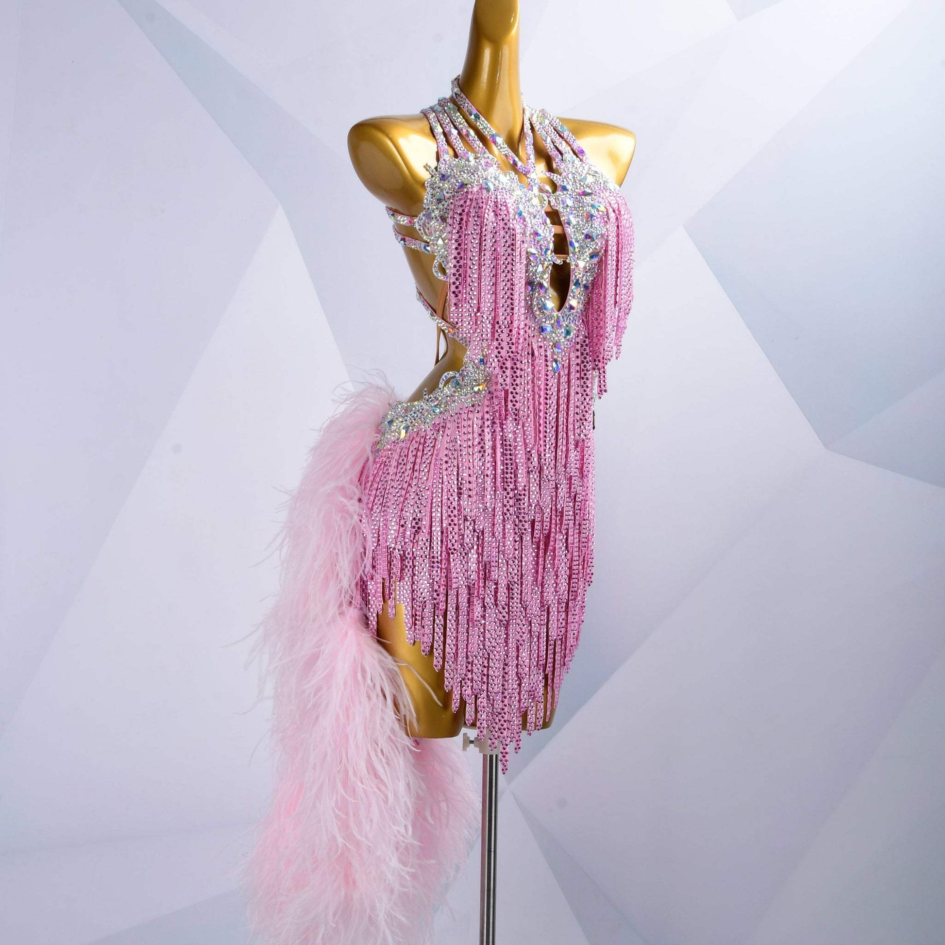 Dreamy Feathered Embrace | Latin Dress For Woman