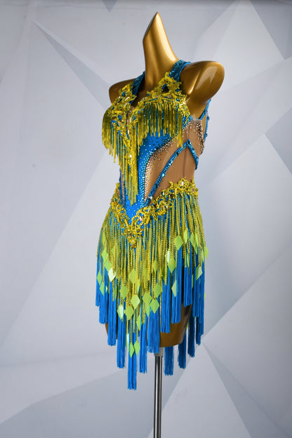 Latin dancesport dresses