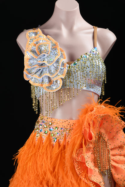 Latin Competition Dress