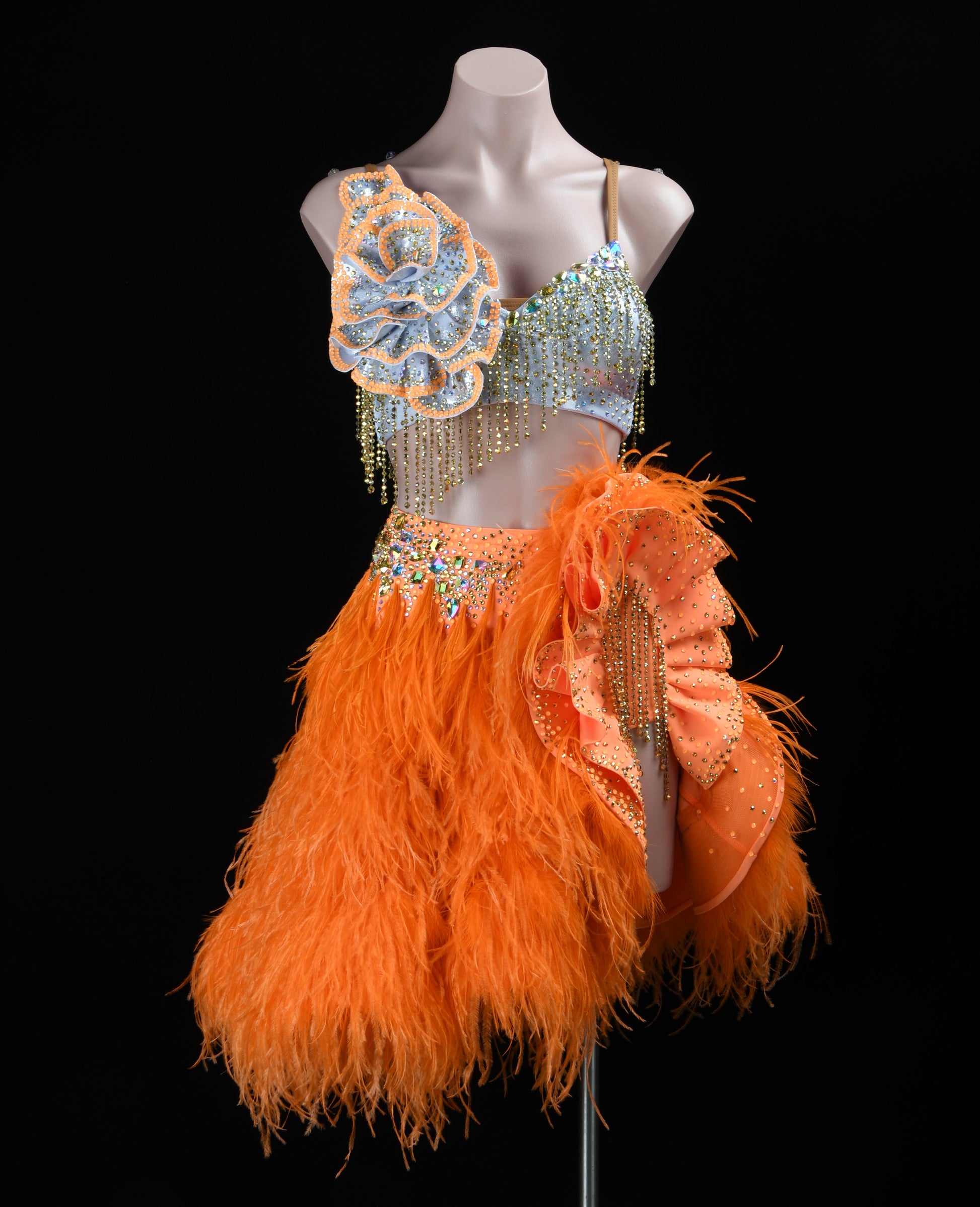 Latin Competition Dress