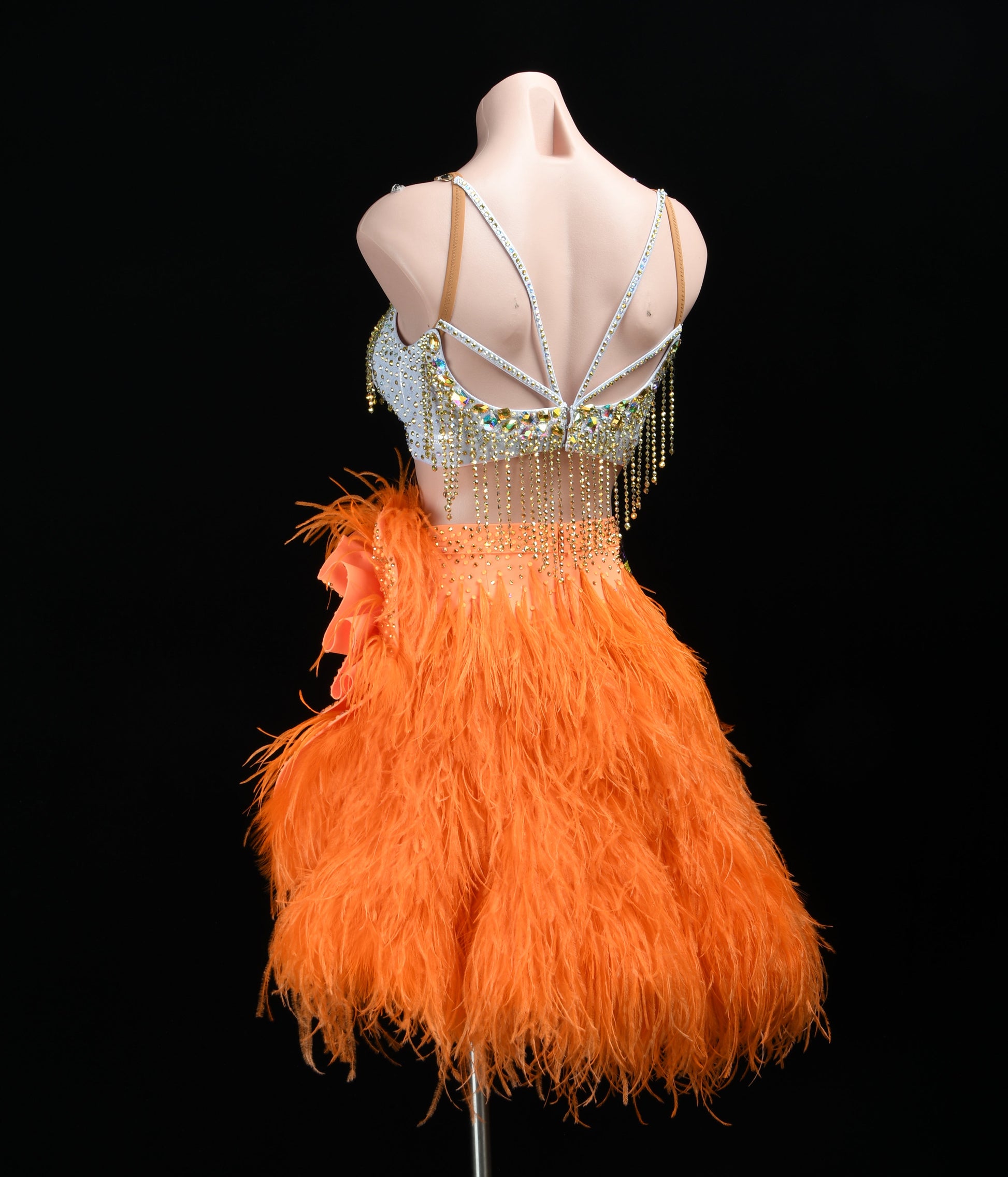 Latin Competition Dress