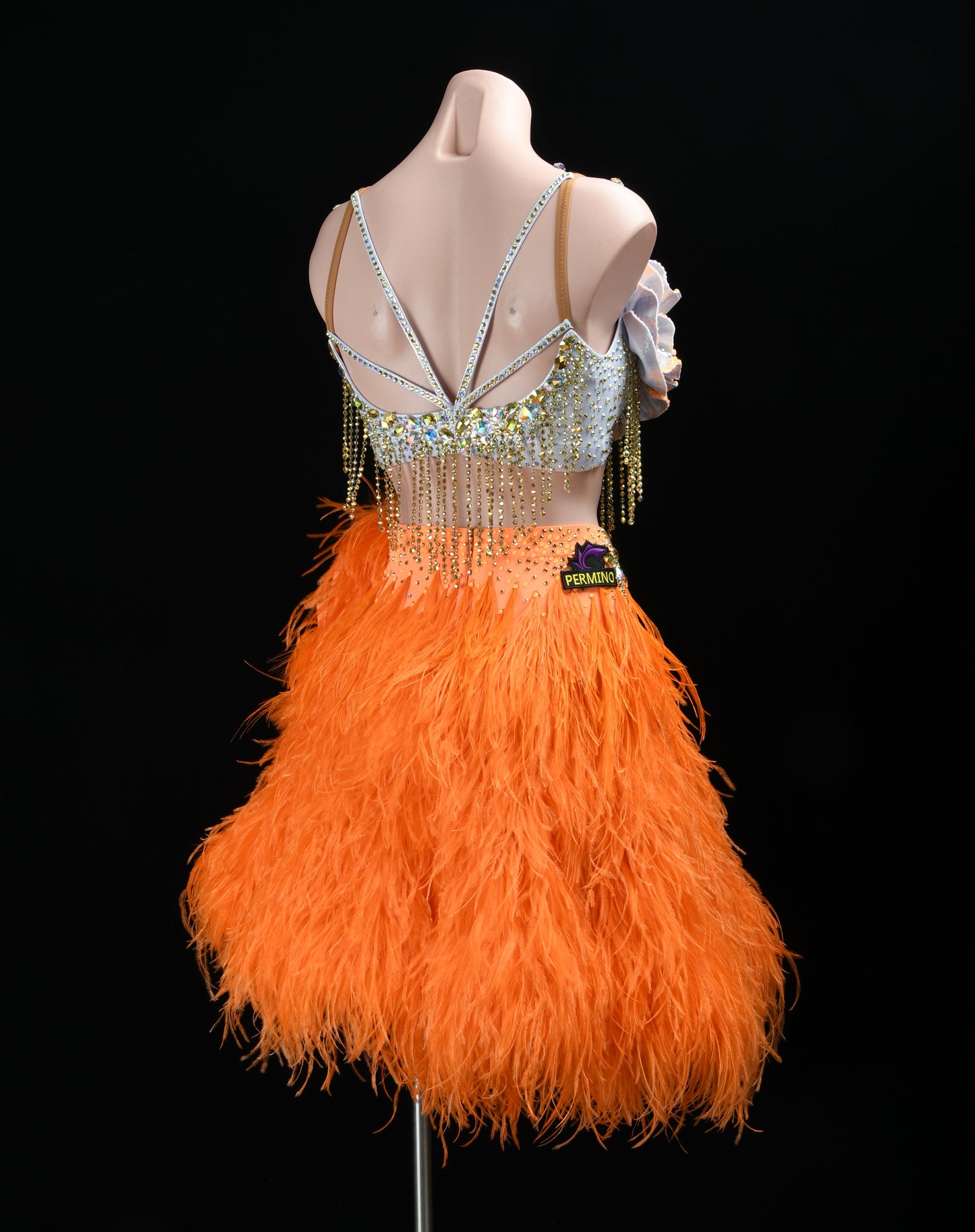 Latin Competition Dress