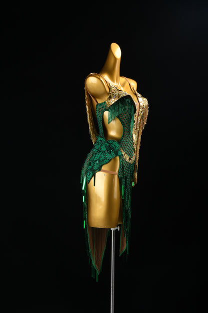 Latin Dress For Sale