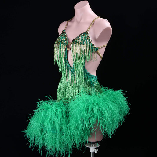 Latin Dance Costume