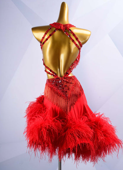 Bold Heart of Latin Grace | DSC_9945