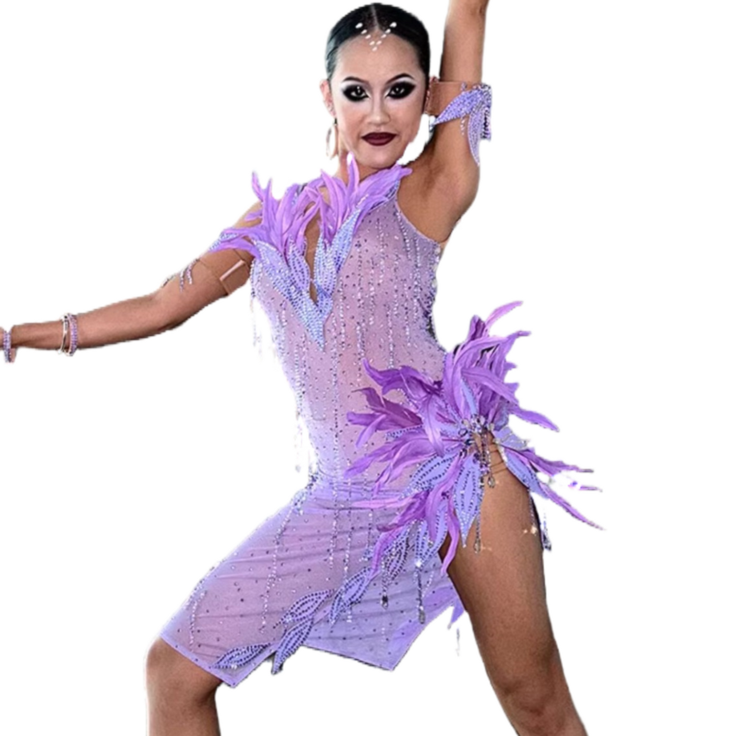 Feathered Purple Latin Dance Dress