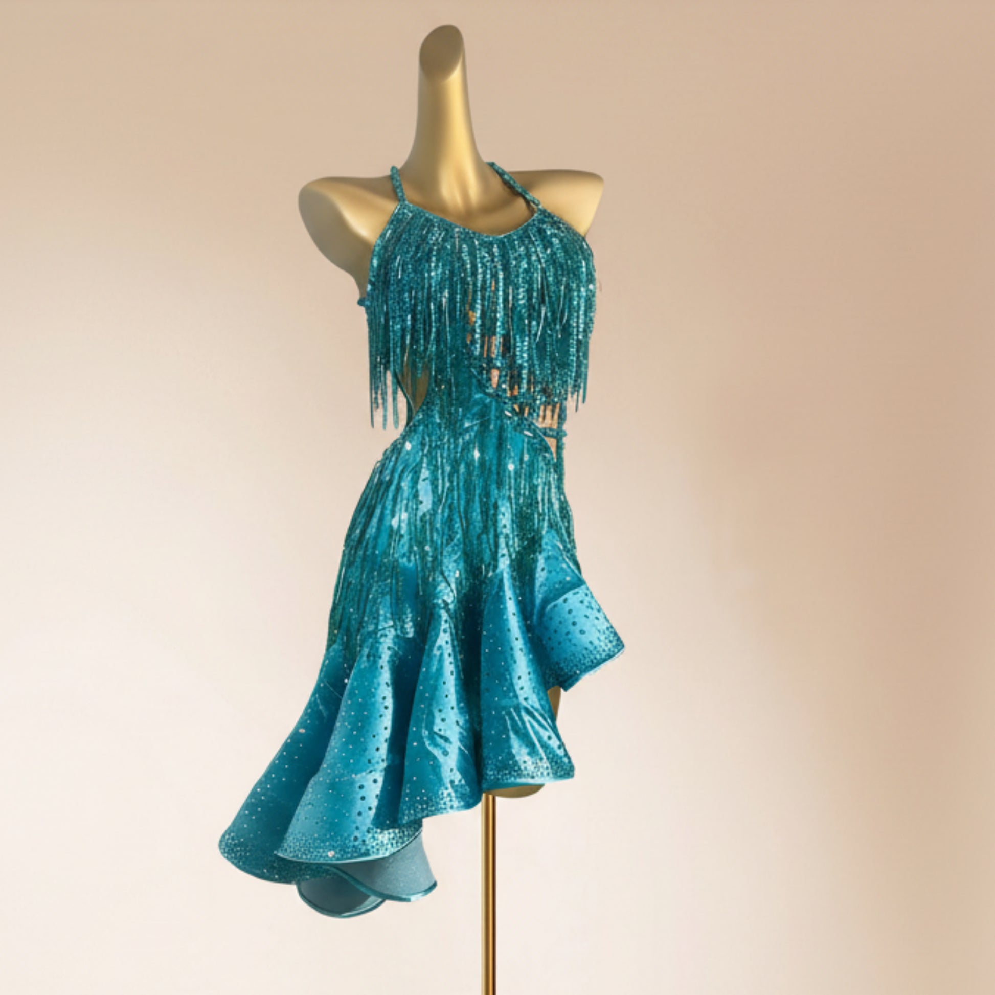 Latin Dance Dress