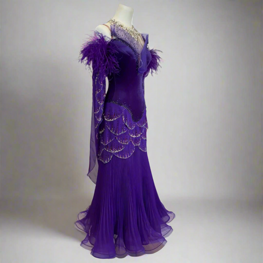 Ballroom Dance Dress