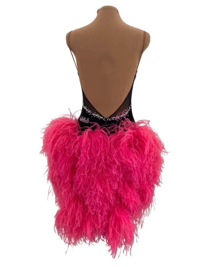 Latin Dance Costume