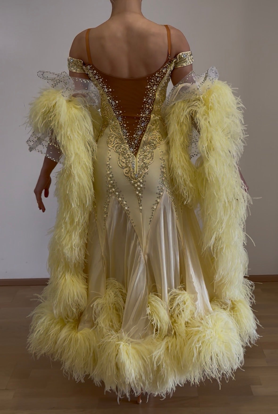 Luxury Ballroom Competition Dress