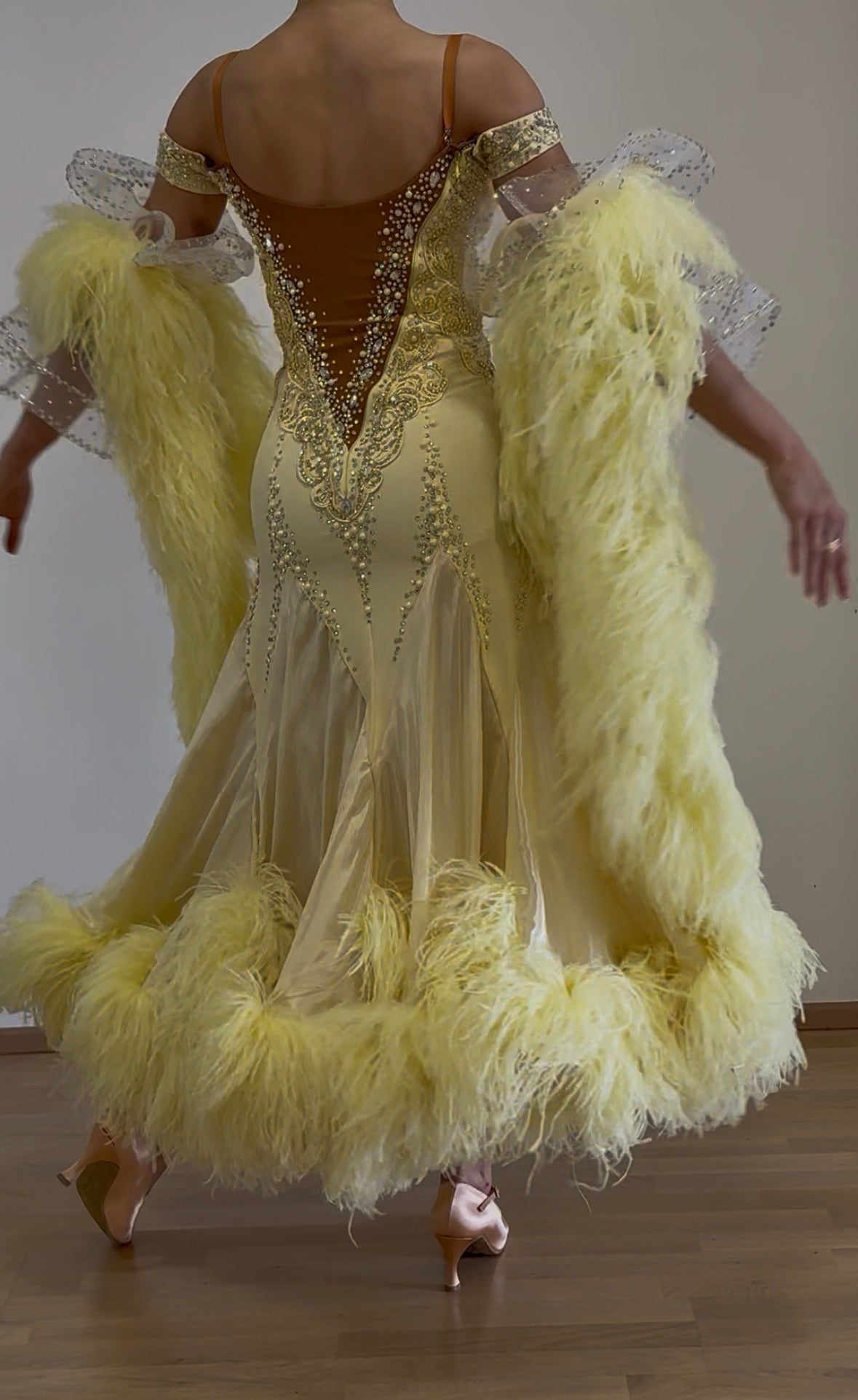 Luxury Ballroom Competition Dress