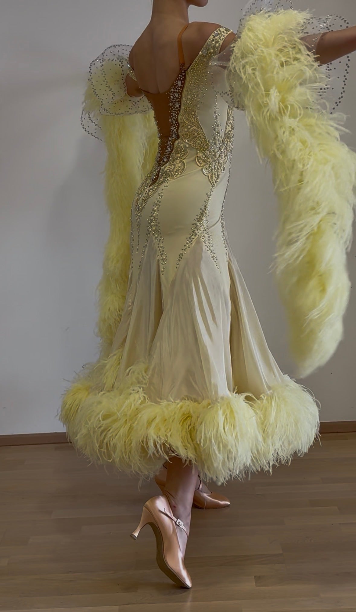 Luxury Ballroom Competition Dress