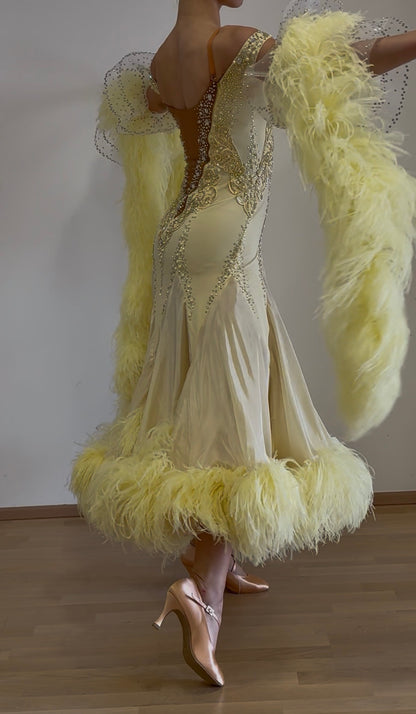 Luxury Ballroom Competition Dress