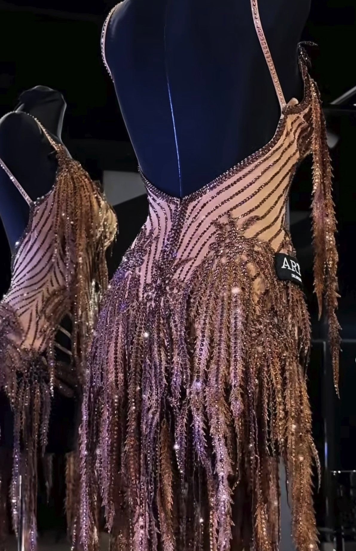 Exquisite Latin Dance Dress