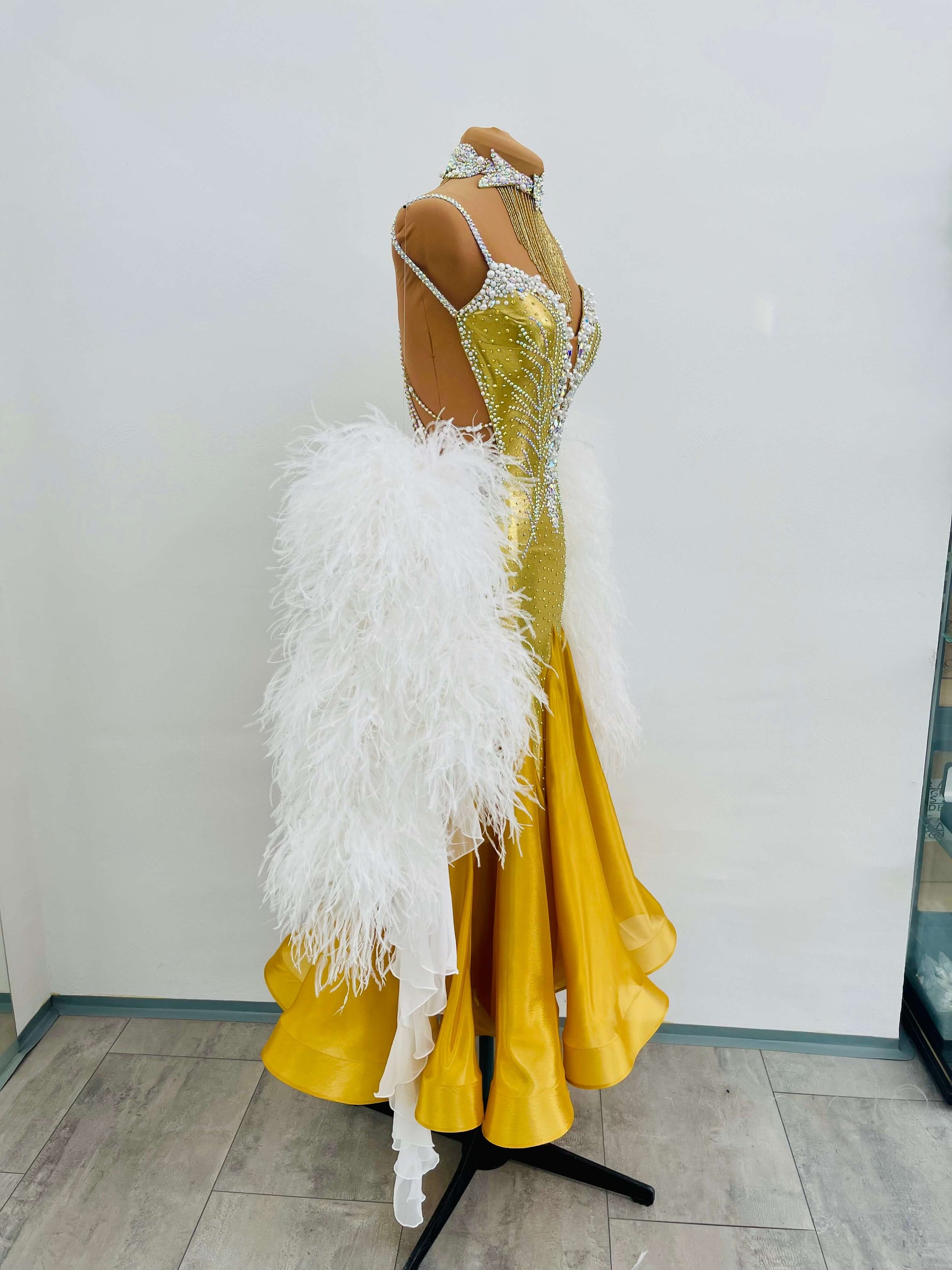 Luxury Ballroom Dress