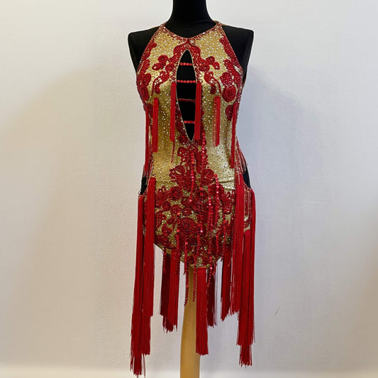 Luxury Latin Dance Dress