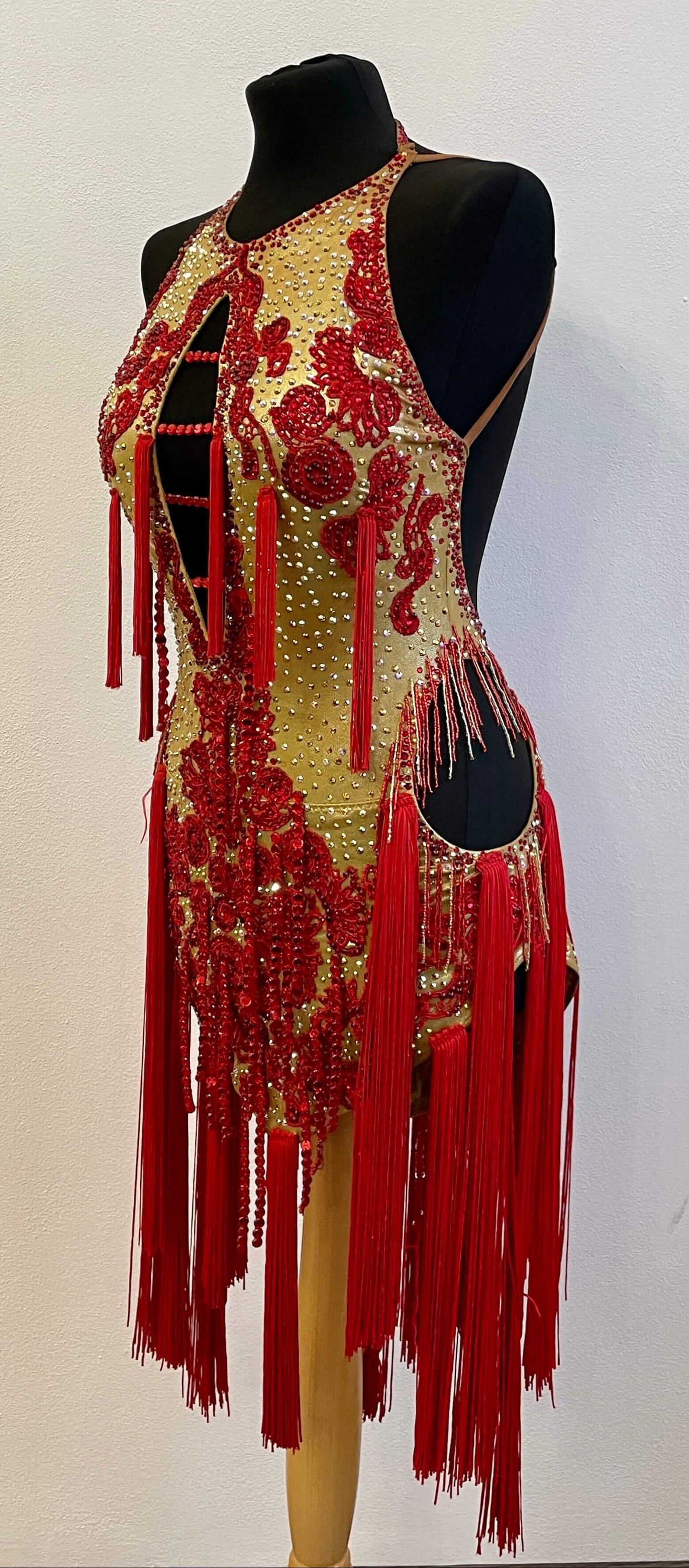 Luxury Latin Dance Dress