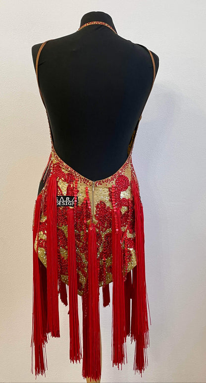 Luxury Latin Dance Dress