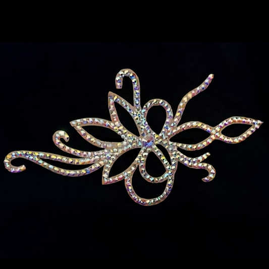 Competition Hairstyle