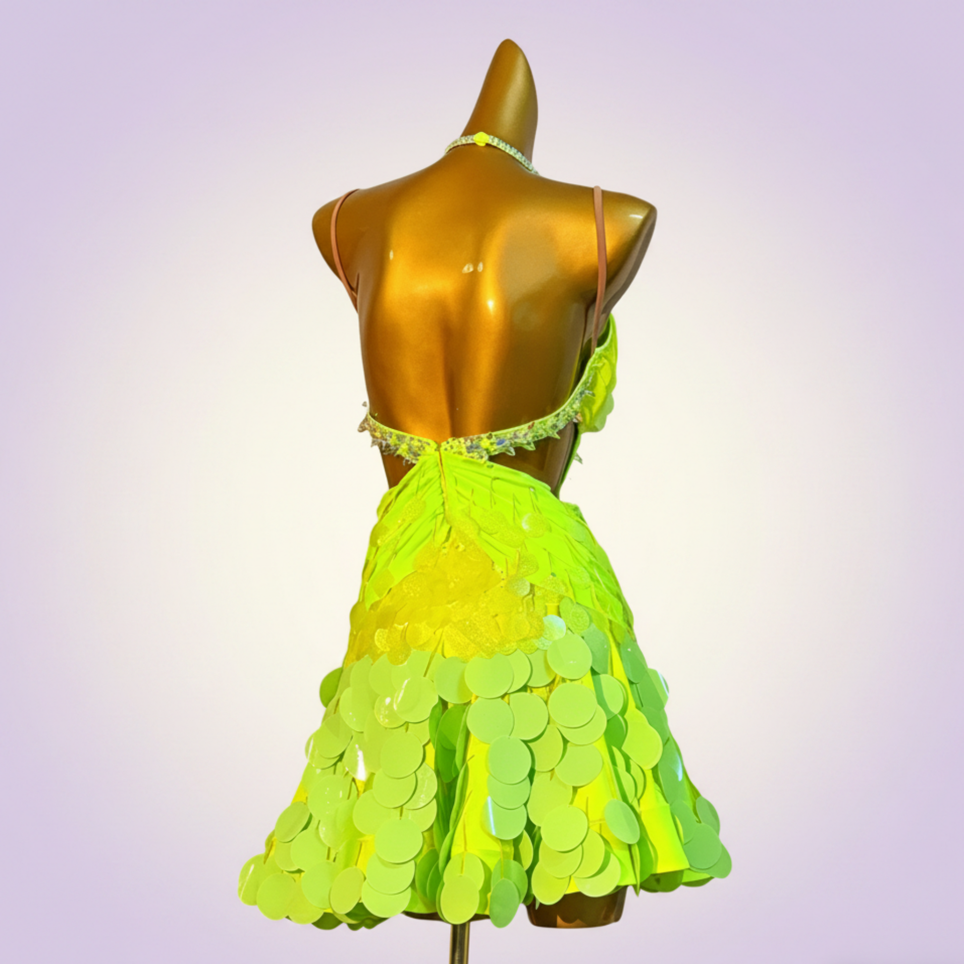 Custom Latin Dress
