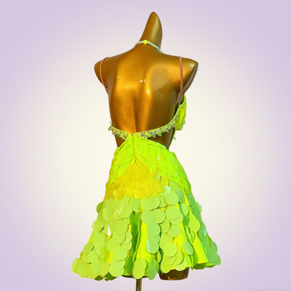 Custom Latin Dress