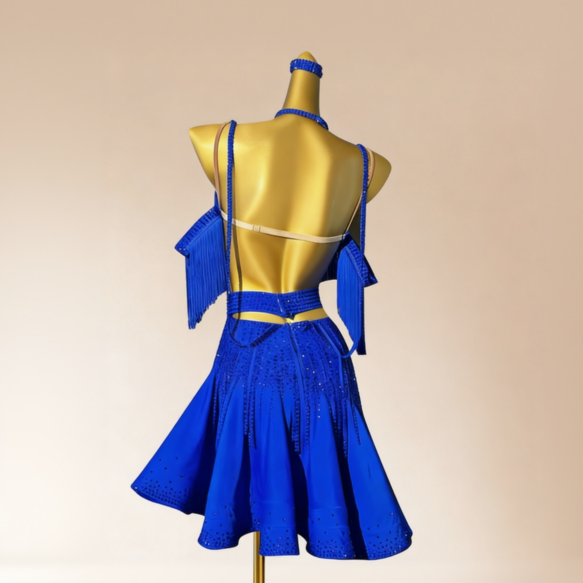 Latin Dance Dress For Woman