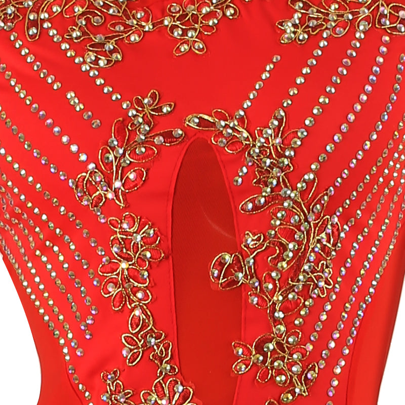 dancesport ballroom dress