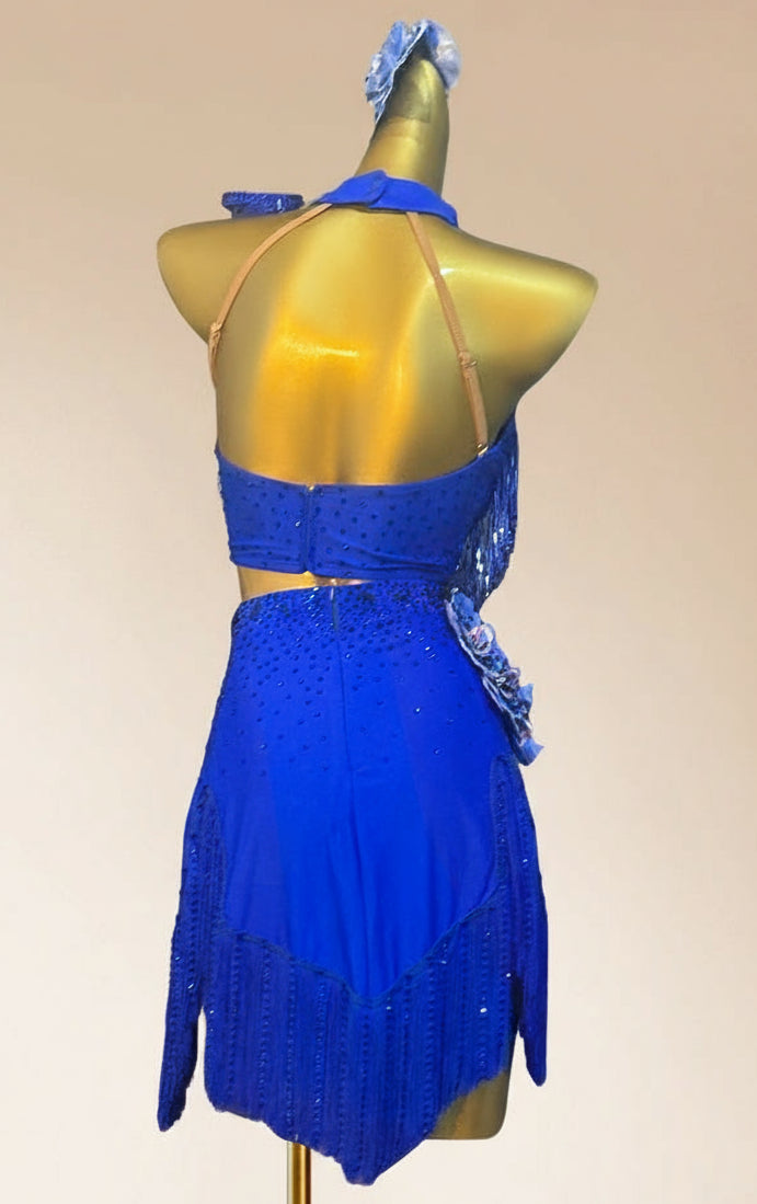 Latin dancesport dresses