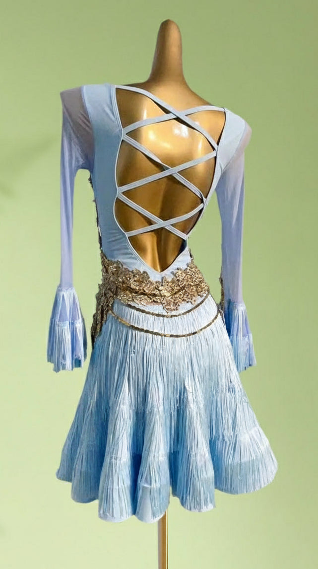 Latin dancesport dresses