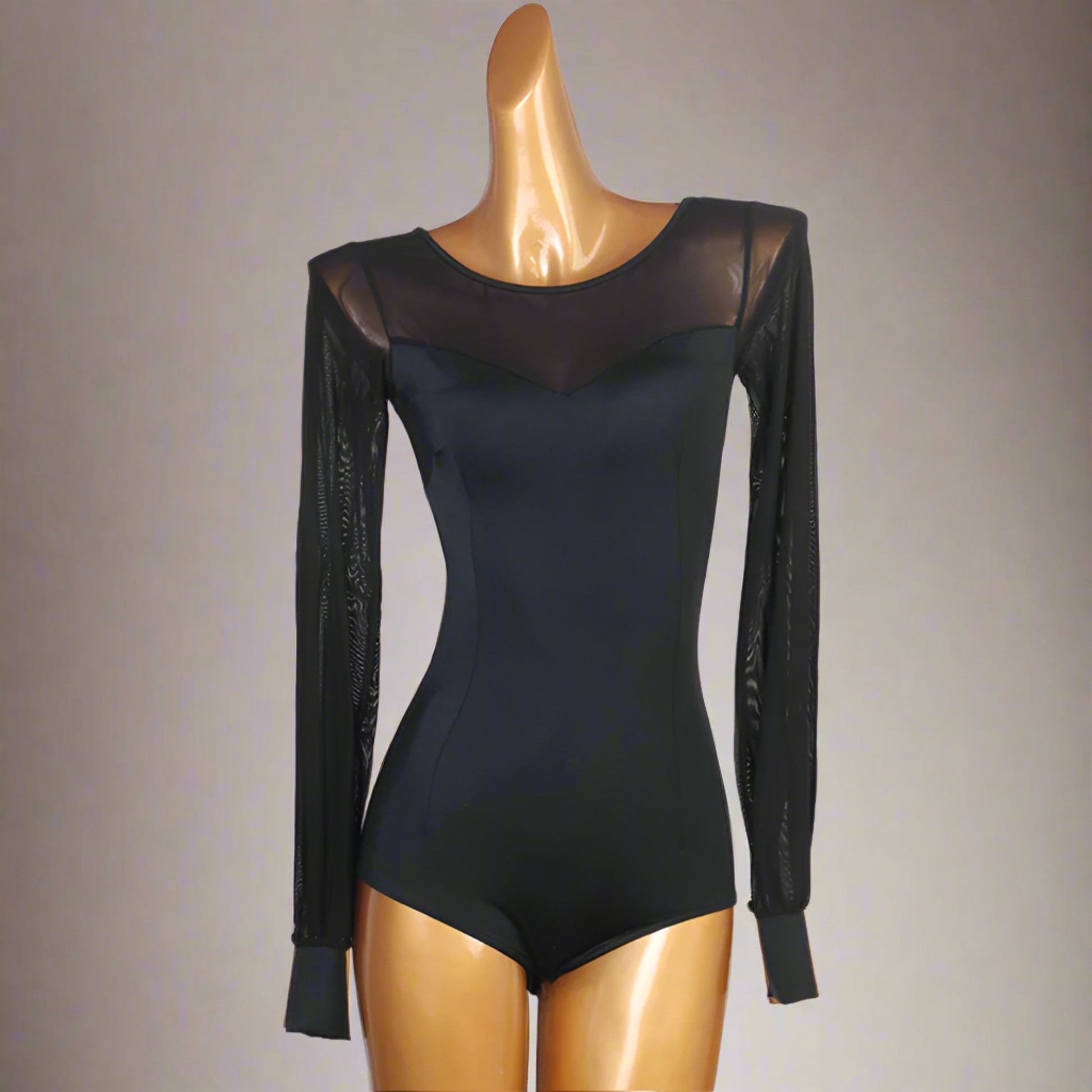 Sheer Mystery Bodysuit
