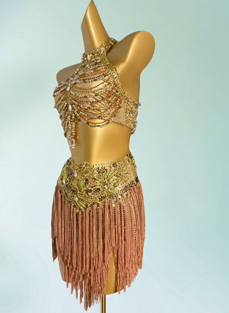 Latin dancesport dresses