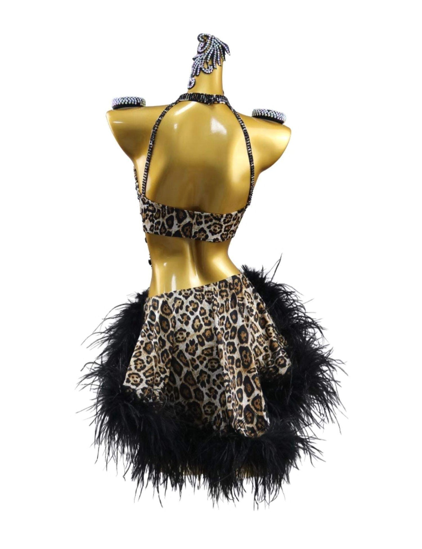 Latin dancesport dresses