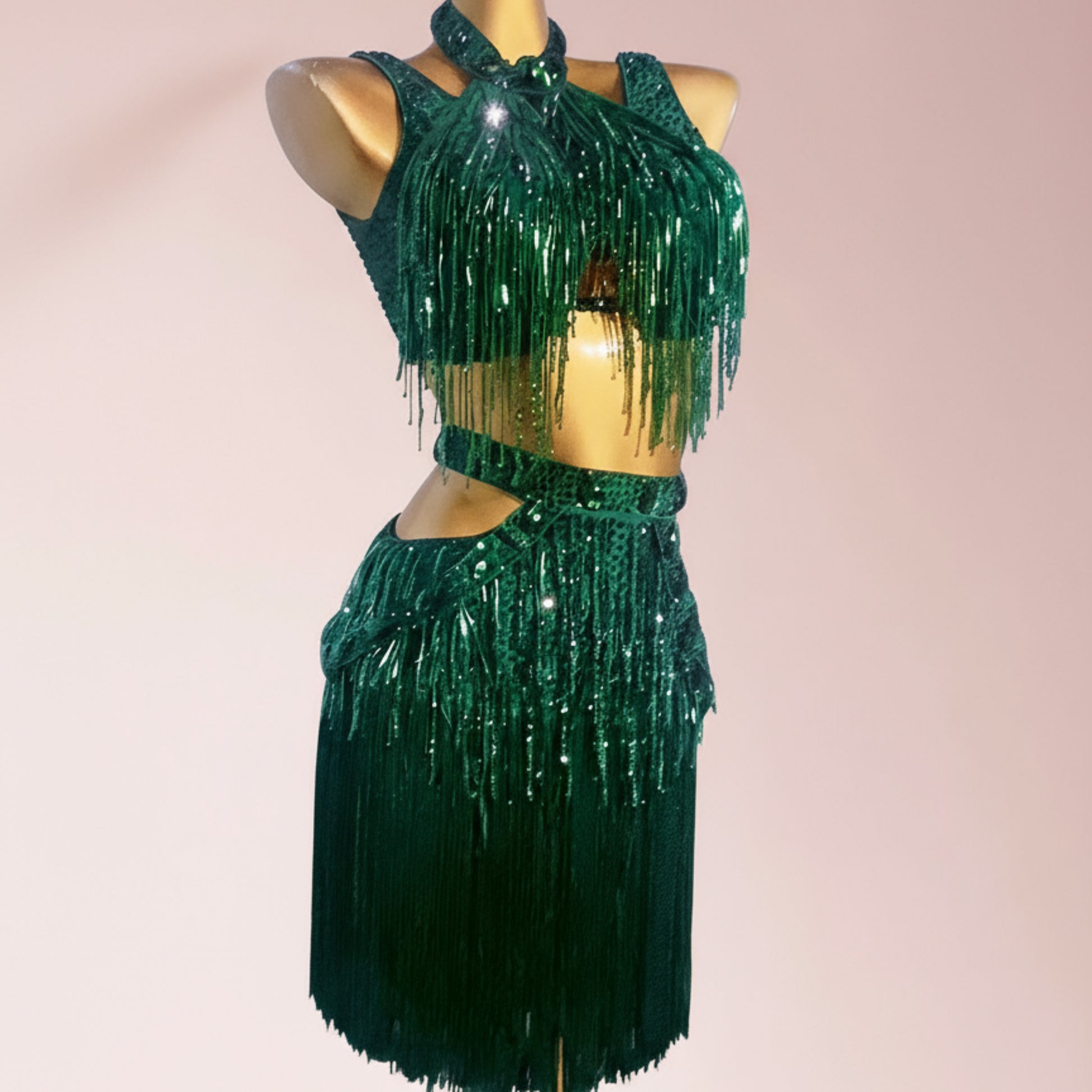 Latin dancesport dresses