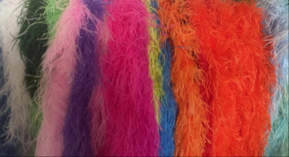 A Body Lit From Within | DC125