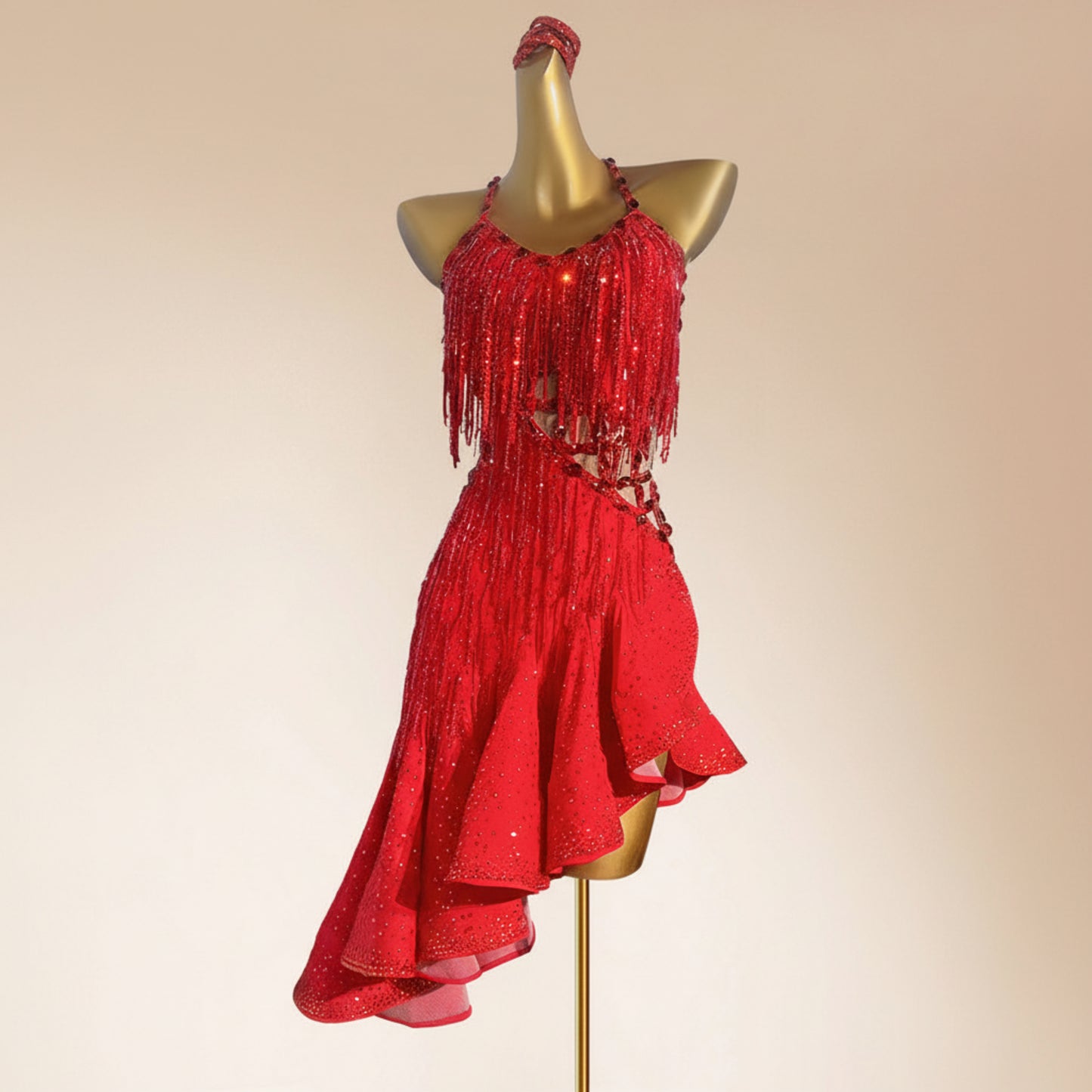 Latin Dance Dress