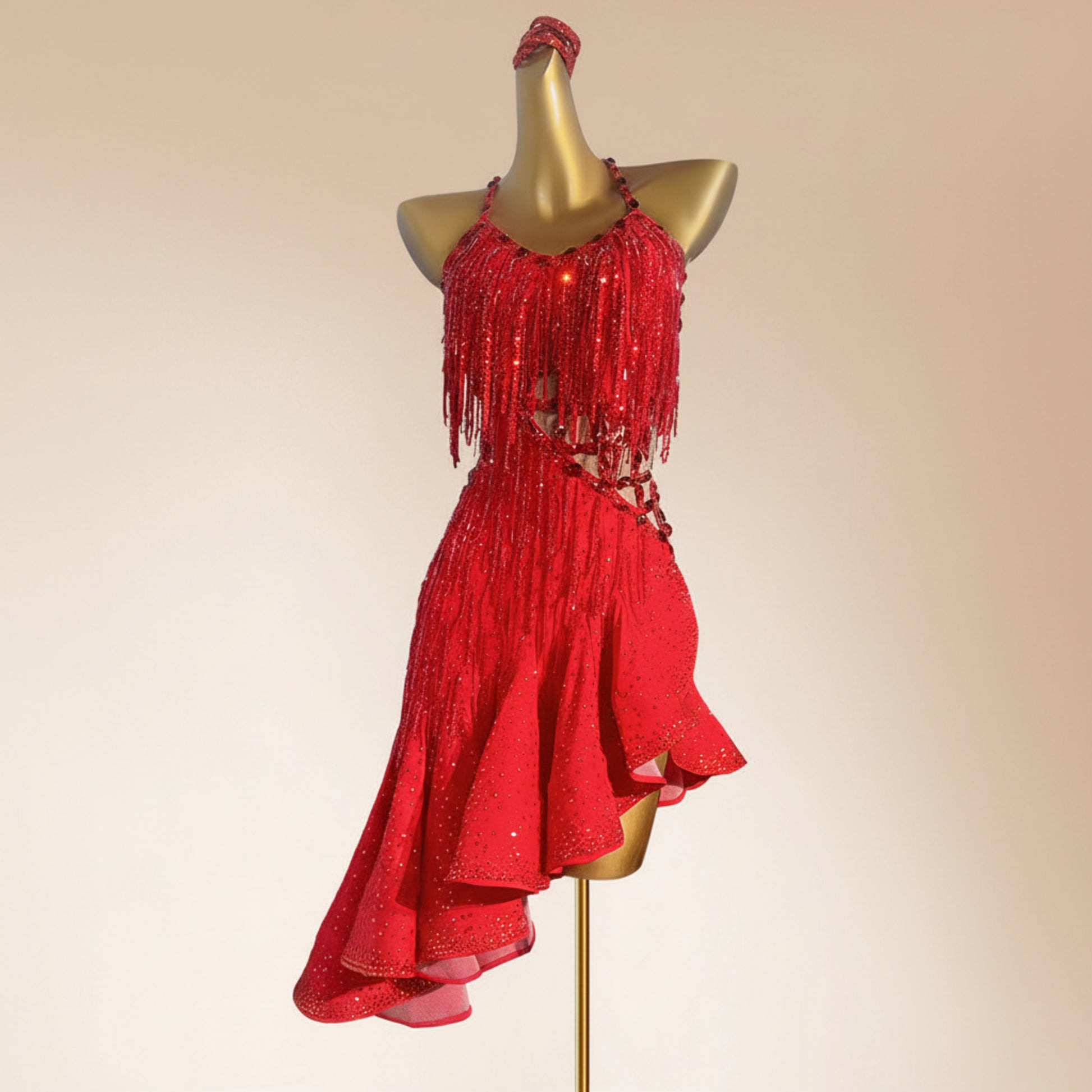 Latin Dance Dress