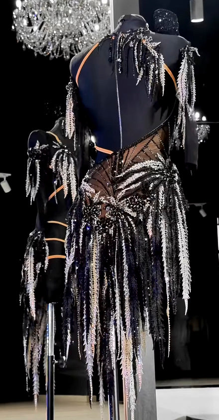 Luxury Latin Dance Dress