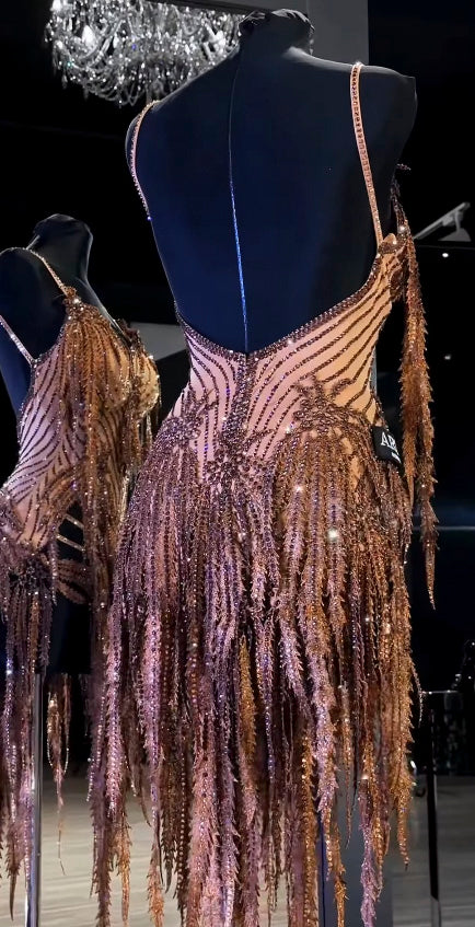 Exquisite Latin Dance Dress