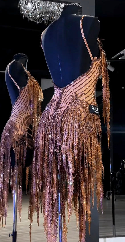 Exquisite Latin Dance Dress