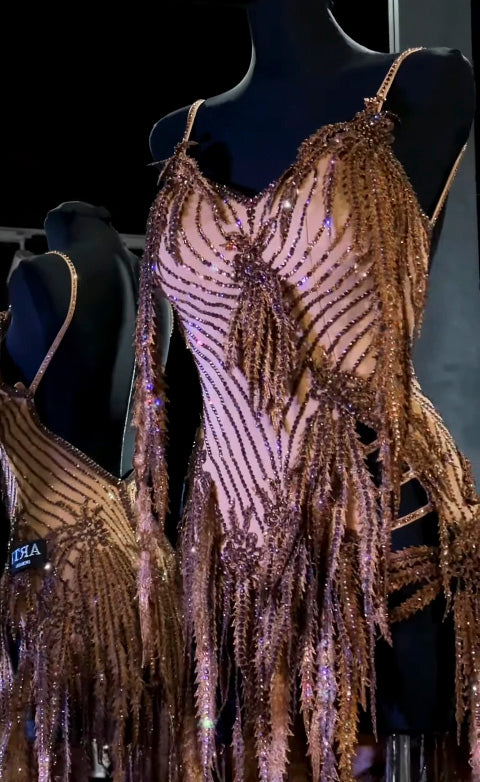 Exquisite Latin Dance Dress