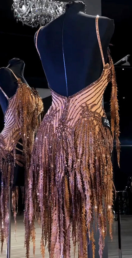 Exquisite Latin Dance Dress