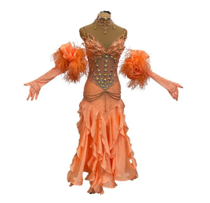 Standard Ballroom Dress