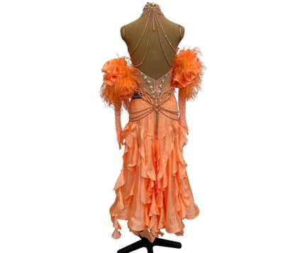 Standard Ballroom Dress