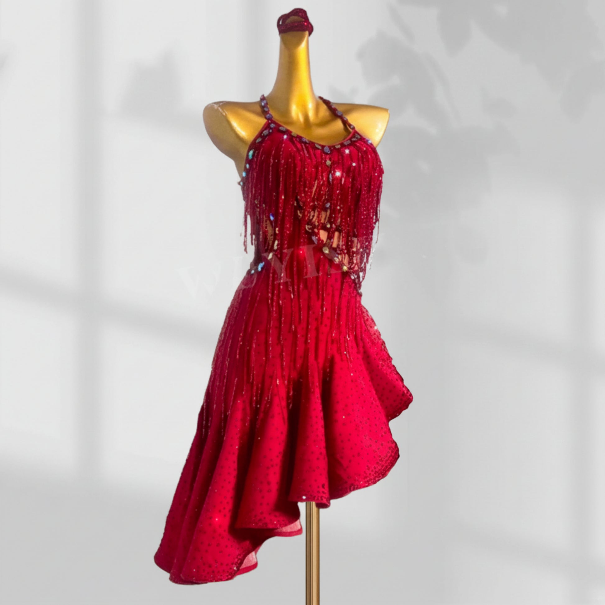 Latin Dance Dress