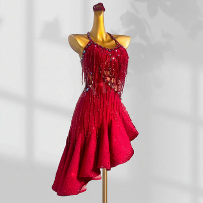 Latin Dance Dress