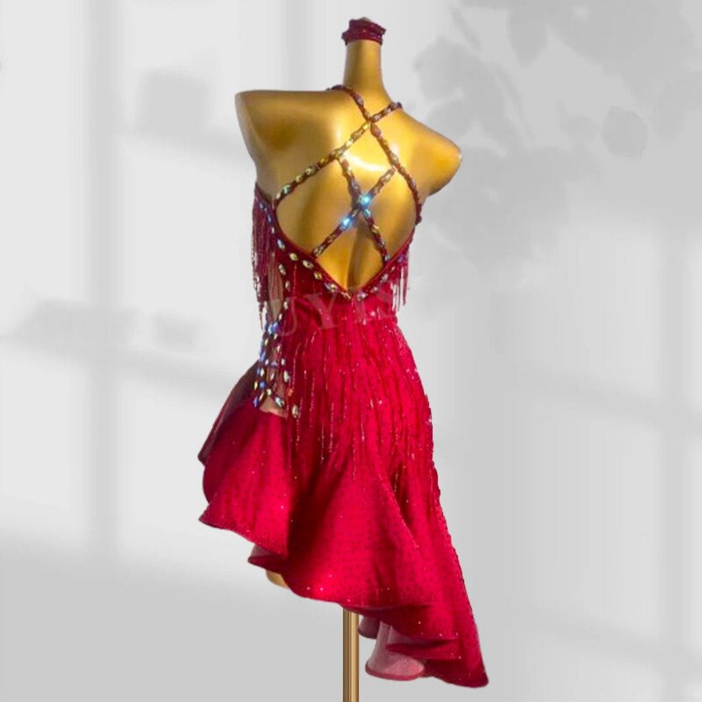 Latin Dance Dress