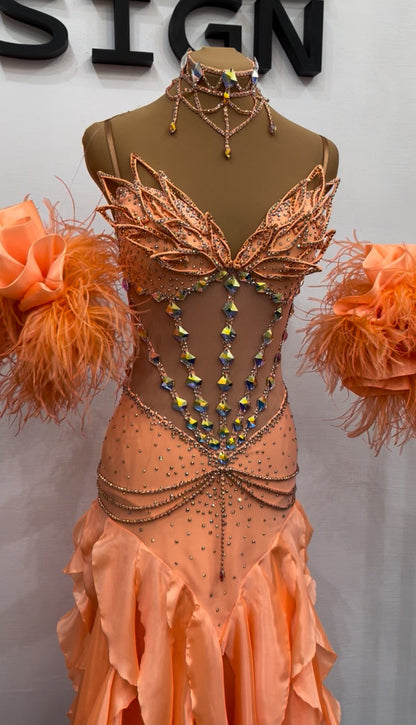 Standard Ballroom Dress