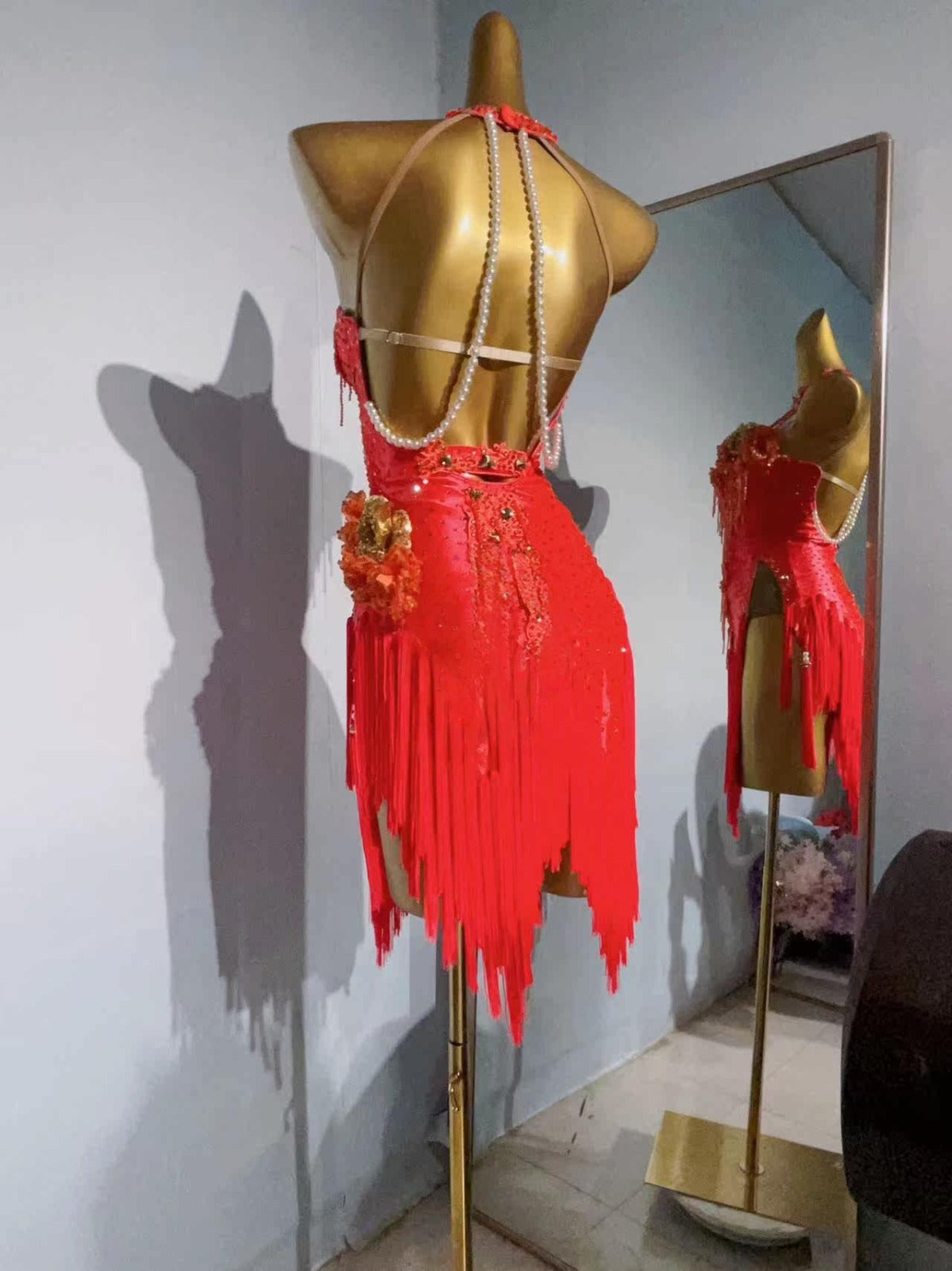 Latin Dance Dress
